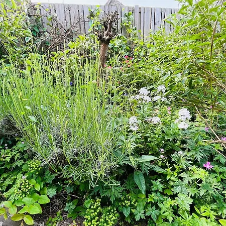 펜션 Luna's Loft 베르겐