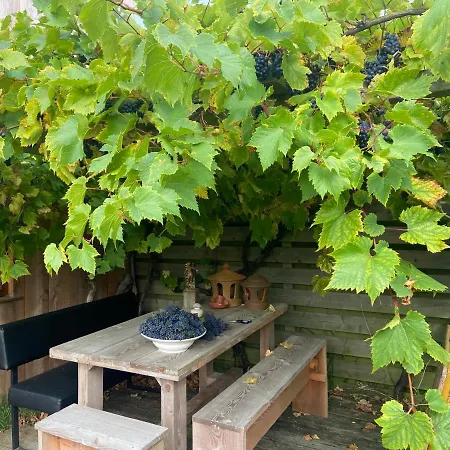 Luna's Loft * Bergen