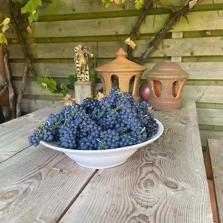 Tatil Evi Luna's Loft Bergen