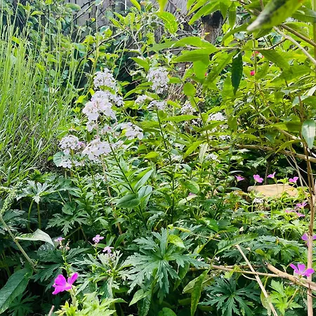 Luna's Loft * Bergen