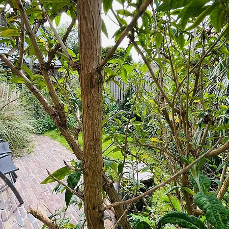 Tatil Evi Luna's Loft Bergen