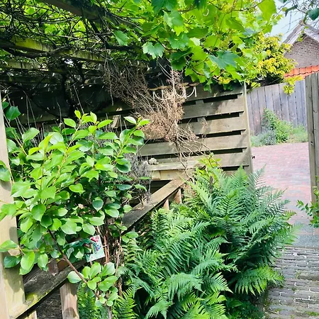 Luna's Loft Tatil Evi Bergen