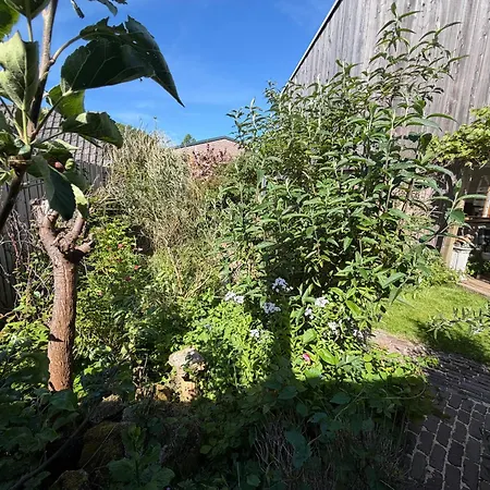 Luna's Loft Holiday home Bergen